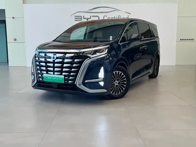 Denza Denza D9
