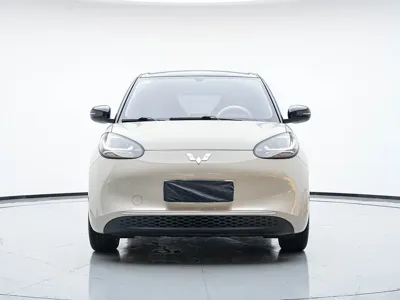Wuling Bingo