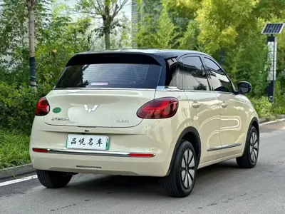 Wuling Bingo