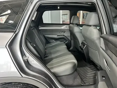 BYD Pro New Energy