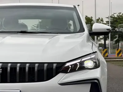 Geely Binrui