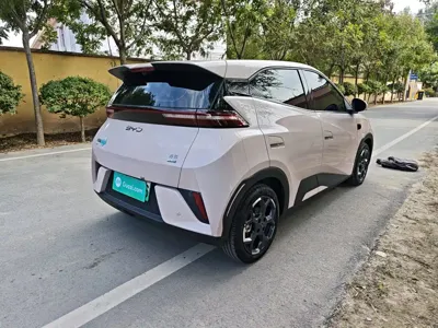BYD Seagull