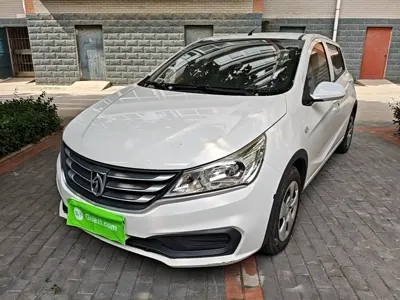 Baojun 310