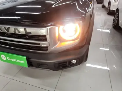 Haval Big Dog
