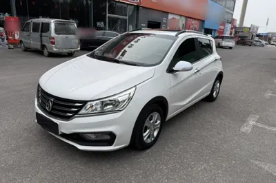 Baojun 310