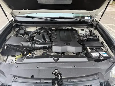 Toyota Prado (Import)