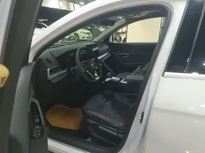 BYD Pro