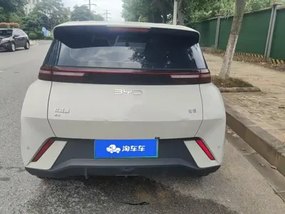 BYD Seagull