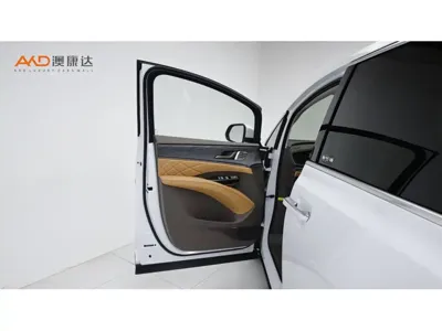 Denza Denza D9