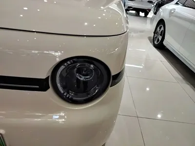 Galaxy Panda