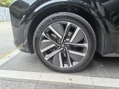 Li Auto Li L9
