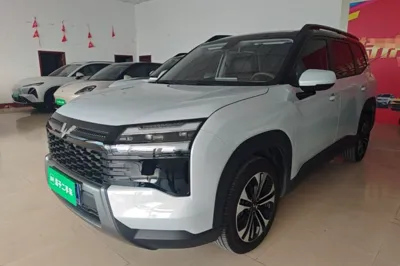 Wuling Starlight 560