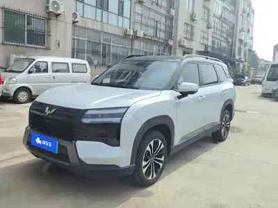 Wuling 星光560新能源