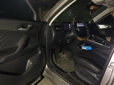 Roewe RX5 New Energy