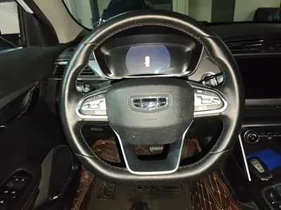 Geely Auto Binray