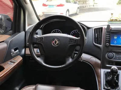 Fengxing Lingzhi PLUS