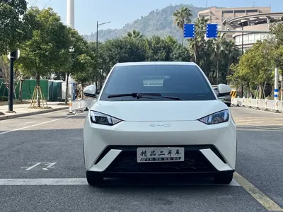 BYD Seagull