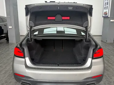 BMW 5 Series (Import)