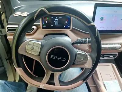 BYD Seagull