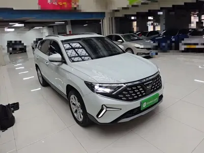 Jetta VS7
