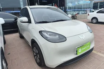 Wuling Bingo