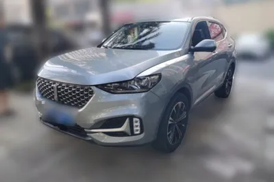 WEY VV6
