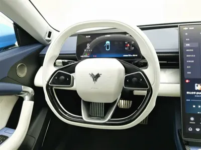NETA Neta GT