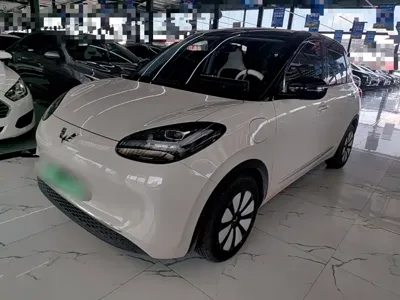 Wuling Bingo