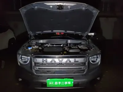 Haval Big Dog