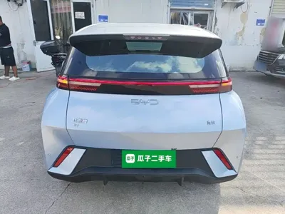 BYD Seagull