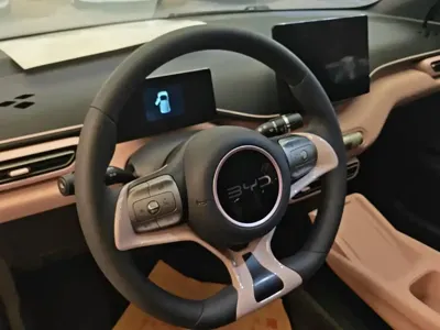 BYD Seagull
