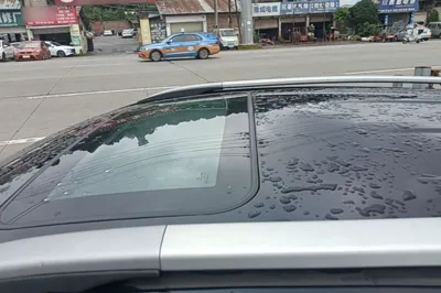 Leopaard CS10