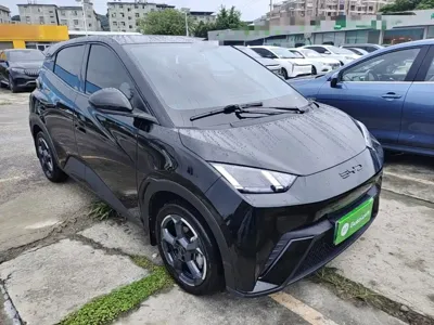 BYD Seagull