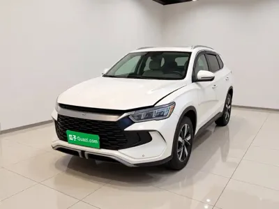BYD Pro New Energy