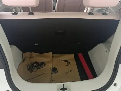 Leapmotor Leapmotor T03