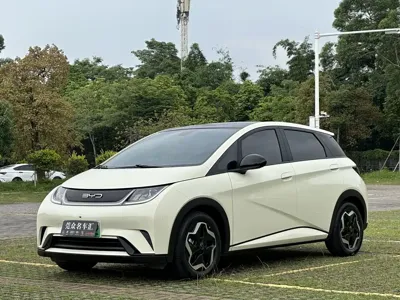 BYD Dolphin