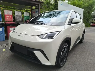 BYD Seagull