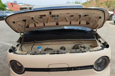 Geely Galaxy Panda