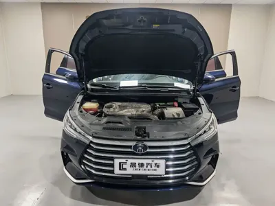 BYD MAX