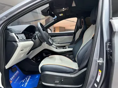 BYD PLUS New Energy
