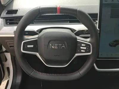 NETA Neta V
