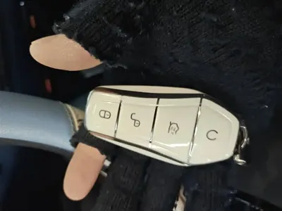 BYD Seagull