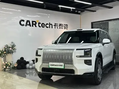 Zeekr 极氪9X