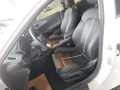 Hyundai Fista