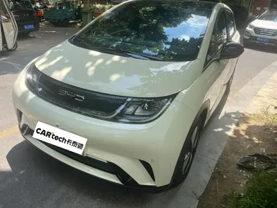 BYD Dolphin