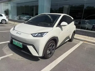 BYD Seagull