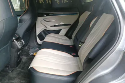 BYD Song PLUS New Energy