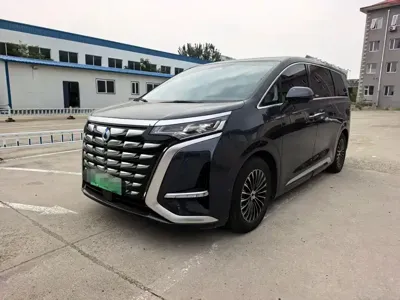 Denza Denza D9