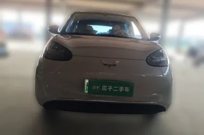 Wuling Bingo