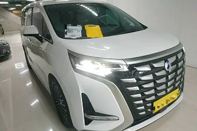 Denza D9